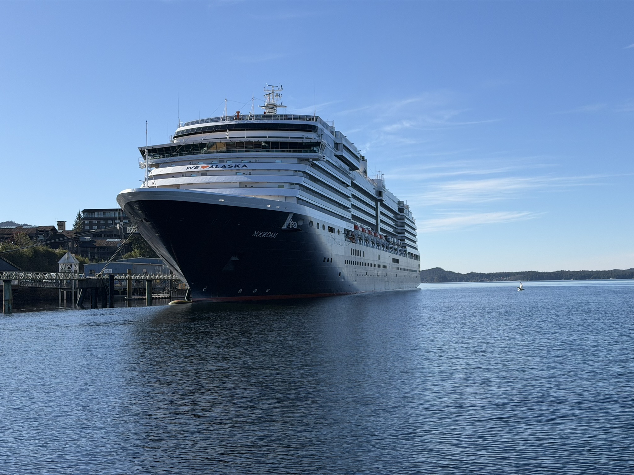 Holland America Noordam docked beside the waterfront under a clear blue sky